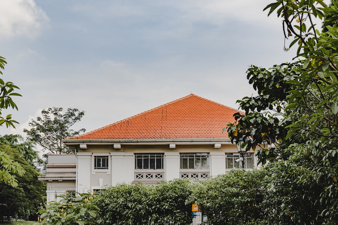 Forstå Fordelene ved Tagpap til Dit Hjem