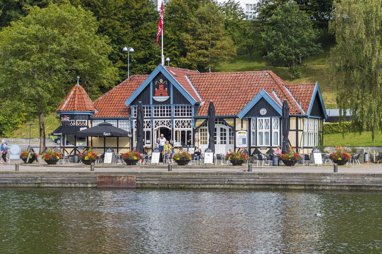 Mekaniker Silkeborg naturligt